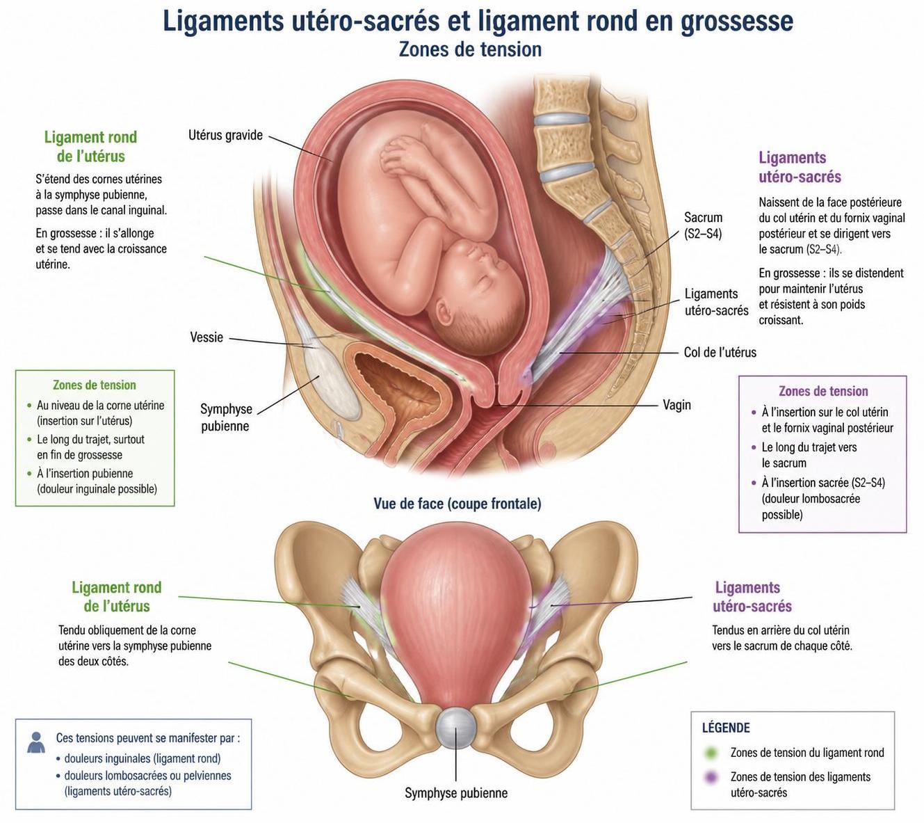 découvrez des solutions naturelles pour soulager les douleurs ligamentaires pendant la grossesse et profitez d'un confort optimal tout au long de cette période.