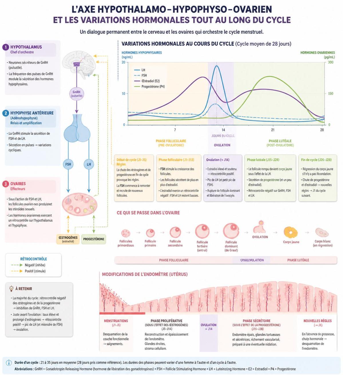 découvrez un témoignage poignant sur les défis des cycles menstruels irréguliers et comment les vivre au quotidien.