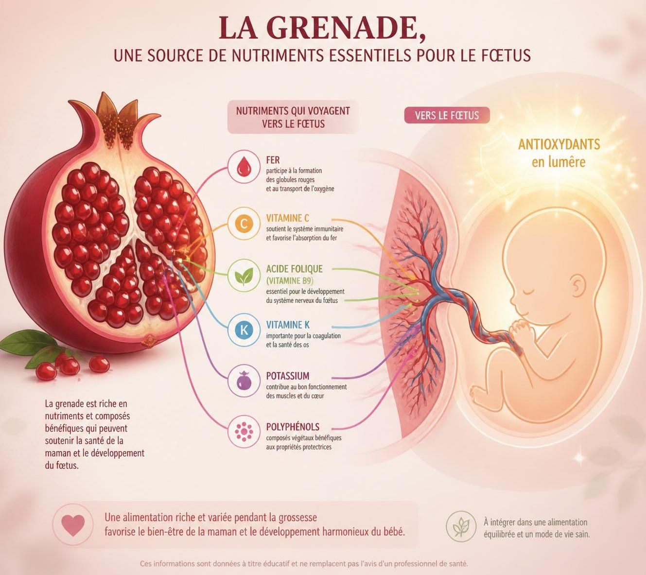 découvrez les bienfaits de la grenade durant la grossesse, son apport en fer essentiel pour maman et bébé, et les meilleures façons de la consommer en toute sécurité.