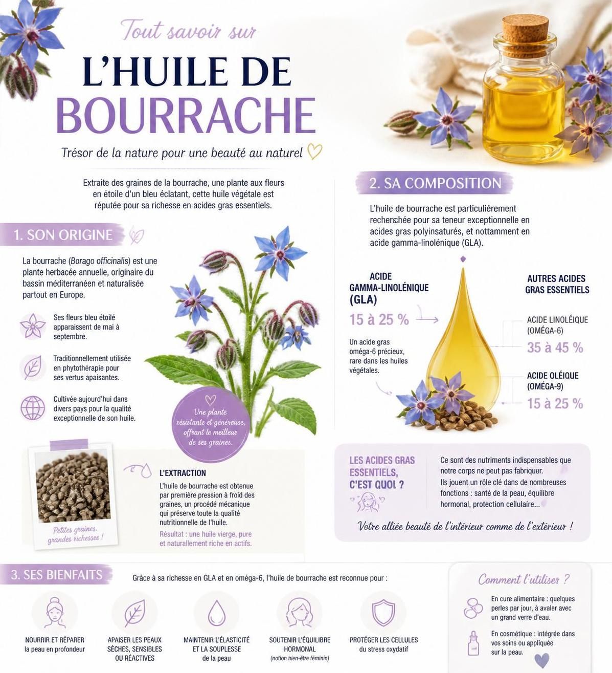 découvrez les bienfaits de l'huile de bourrache pendant la grossesse, ses propriétés anti-vergetures, et les précautions à prendre pour une utilisation sûre et efficace.