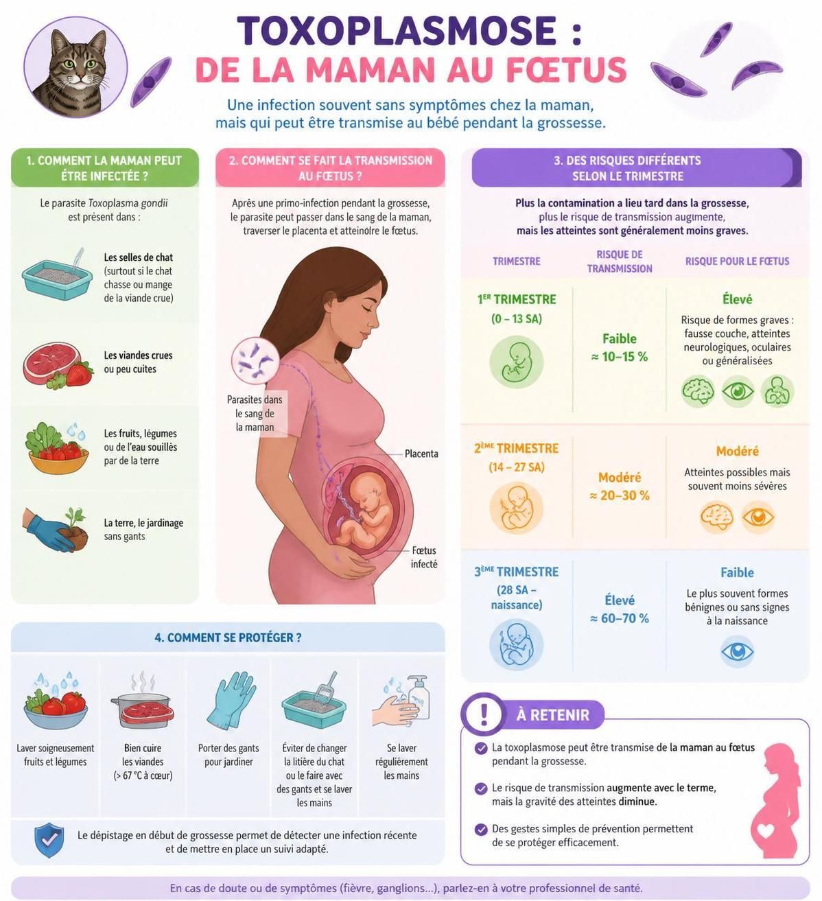 découvrez comment prévenir la toxoplasmose pendant la grossesse grùce à nos conseils sur les aliments à éviter, les gestes simples à adopter et les tests à réaliser pour protéger votre bébé.