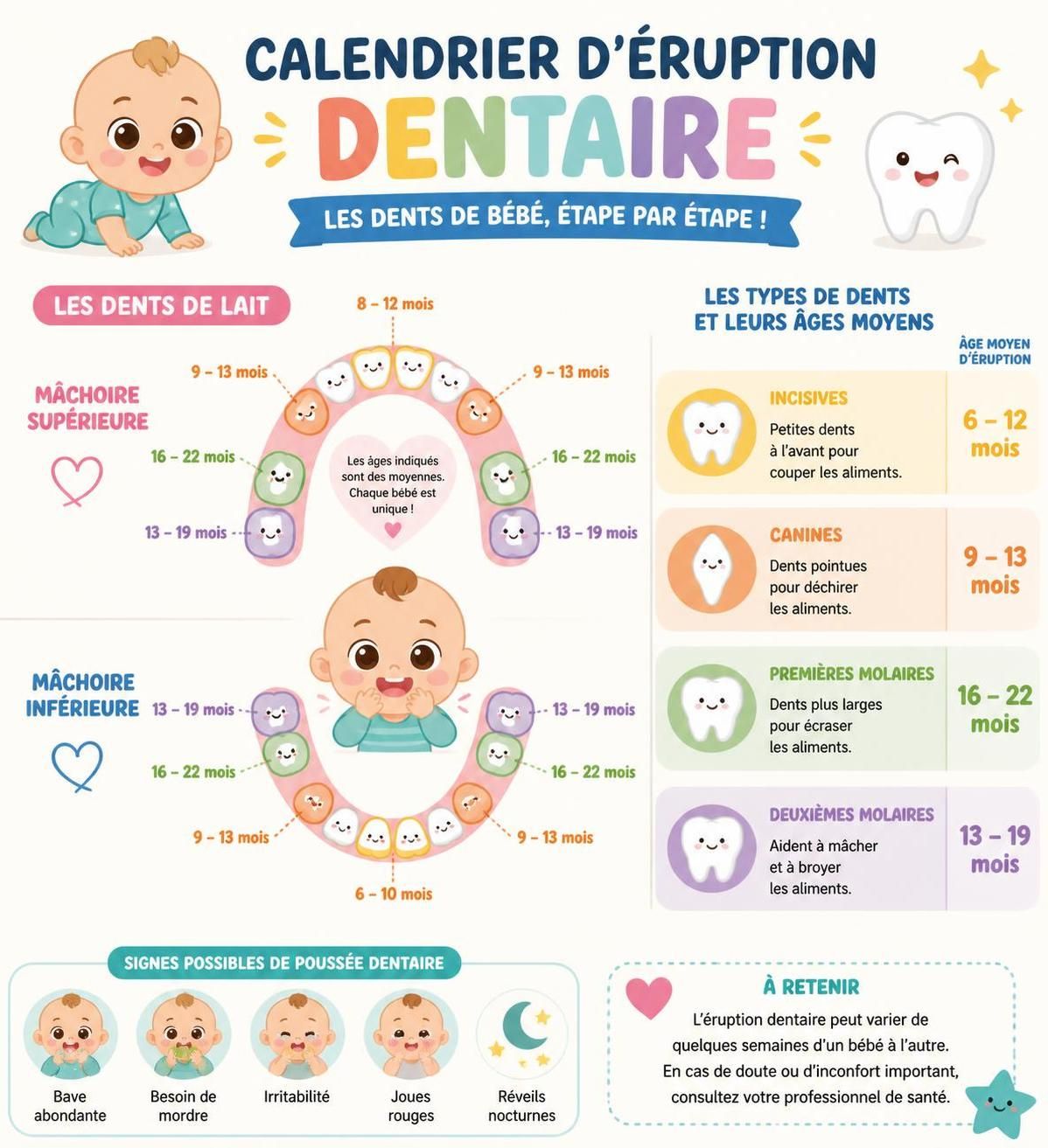 découvrez à quel âge les premières dents de bébé apparaissent et les méthodes efficaces pour soulager ses douleurs liées à la dentition.