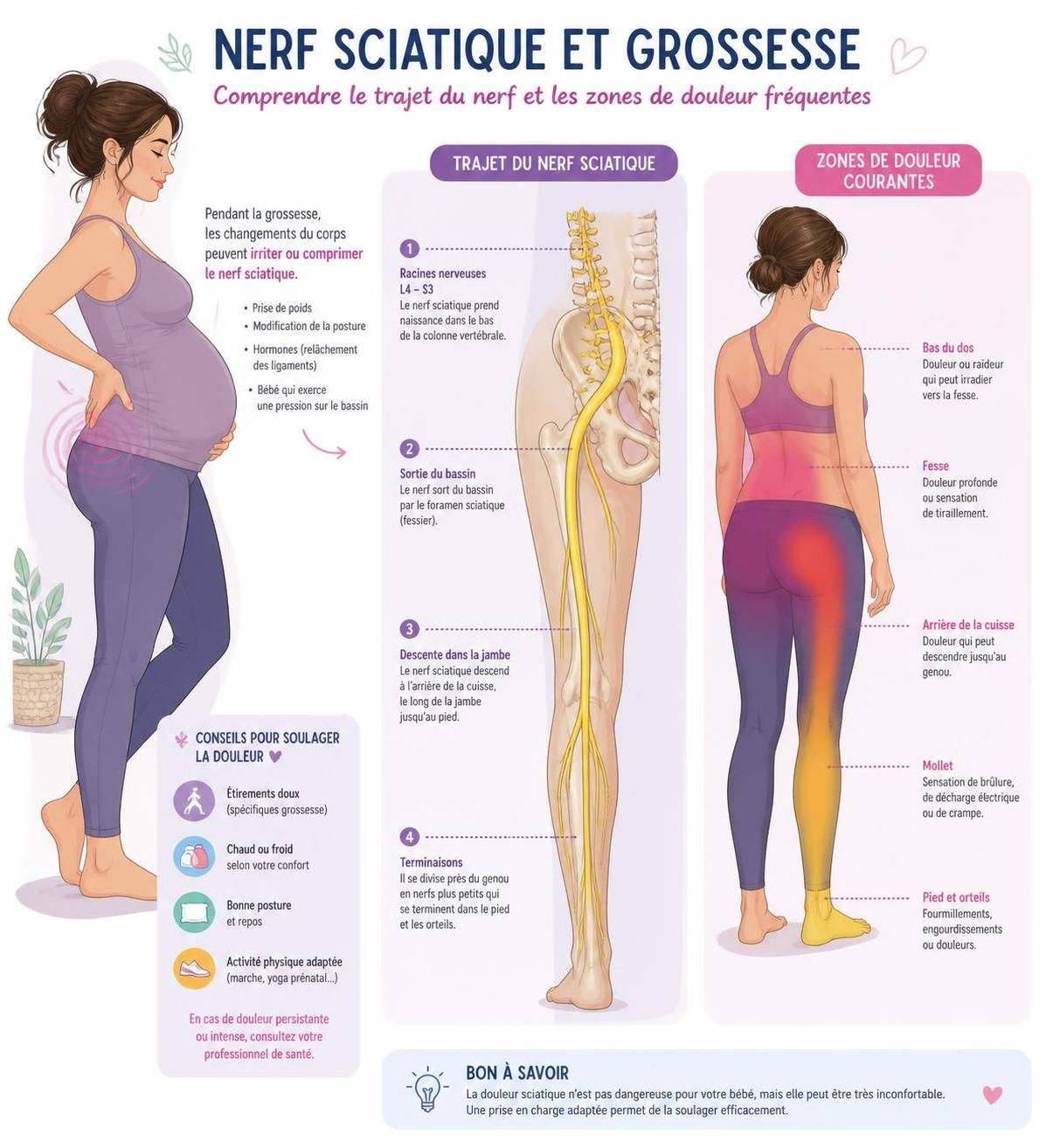 découvrez pourquoi la sciatique est fréquente pendant la grossesse, comment le nerf est comprimé et les gestes naturels efficaces pour soulager la douleur sans recourir aux médicaments.